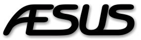 Aesus Packaging System,Inc
