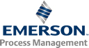 Emerson Process Management​